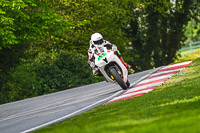 cadwell-no-limits-trackday;cadwell-park;cadwell-park-photographs;cadwell-trackday-photographs;enduro-digital-images;event-digital-images;eventdigitalimages;no-limits-trackdays;peter-wileman-photography;racing-digital-images;trackday-digital-images;trackday-photos